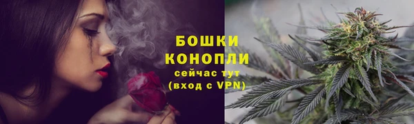 гашик Горно-Алтайск
