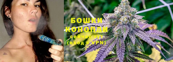 дживик Горняк