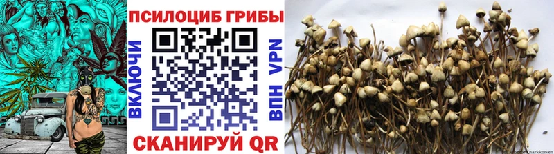 Галлюциногенные грибы мицелий Купить закладки Боровичи